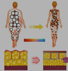 FAT BURNING